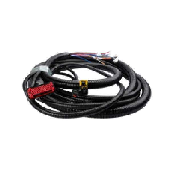 Low voltage harness